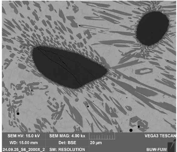 High-magnification SEM detail of a reinforced LMD coating microstructure