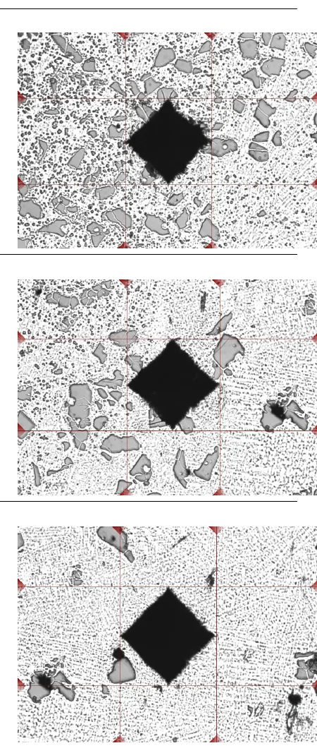 Vickers HV10 hardness indentations on a coated LMD microstructure