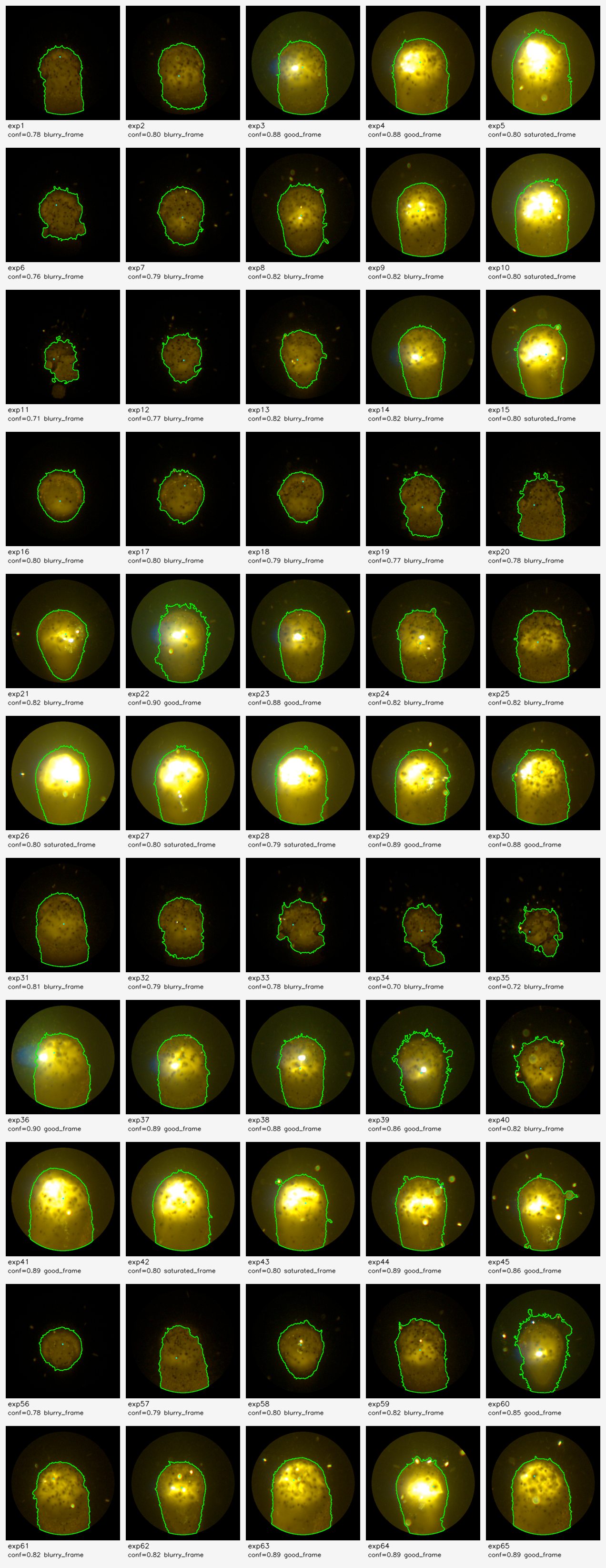 Contact sheet for reviewing LMD monitoring examples and edge cases