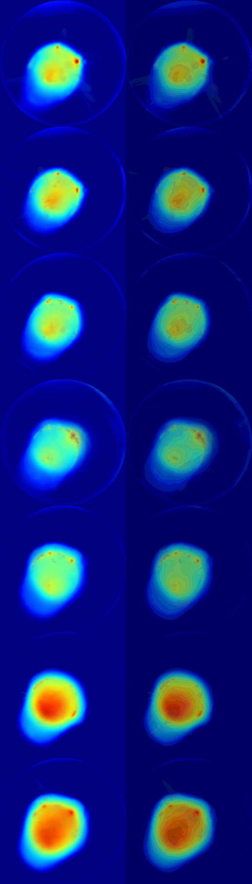 Combined thermal monitoring image across LMD experiments one to seven